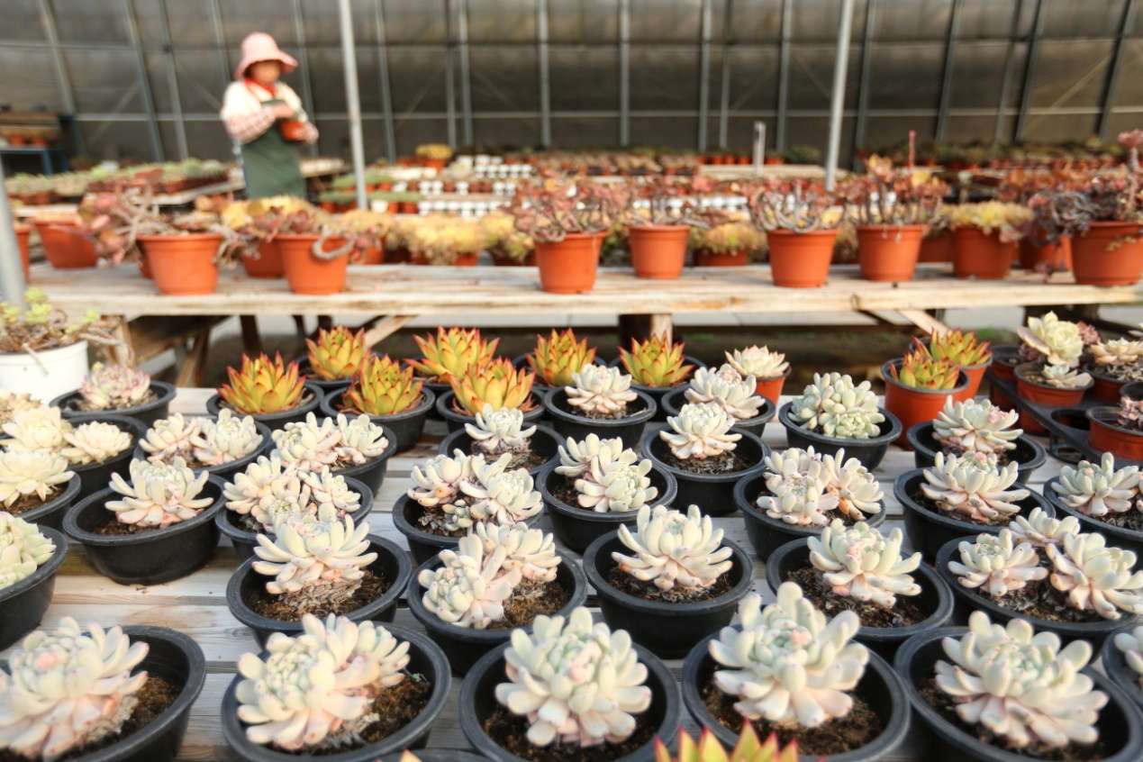 D:Desktop新建文件夹 (8)B67W6126.JPG