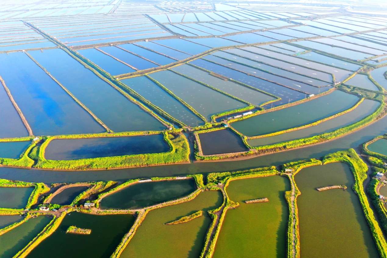 D:\Desktop\新建文件夹 (15)\DJI_0528.JPG