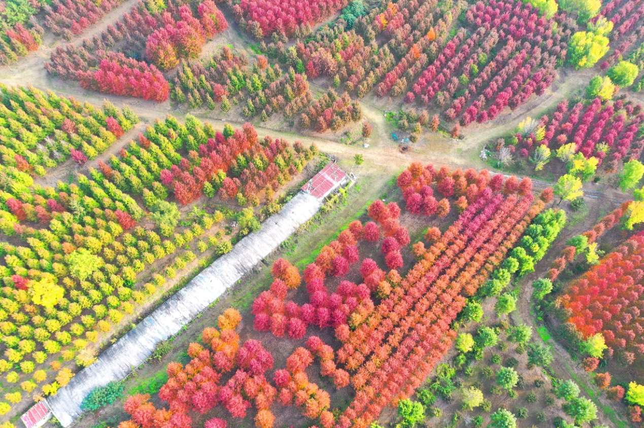 D:\Desktop\新建文件夹 (33)\新建文件夹 (2)\DJI_0665.JPG