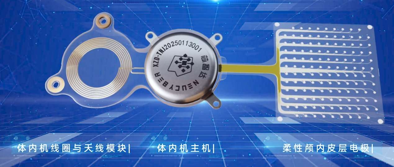 北脑一号产品图