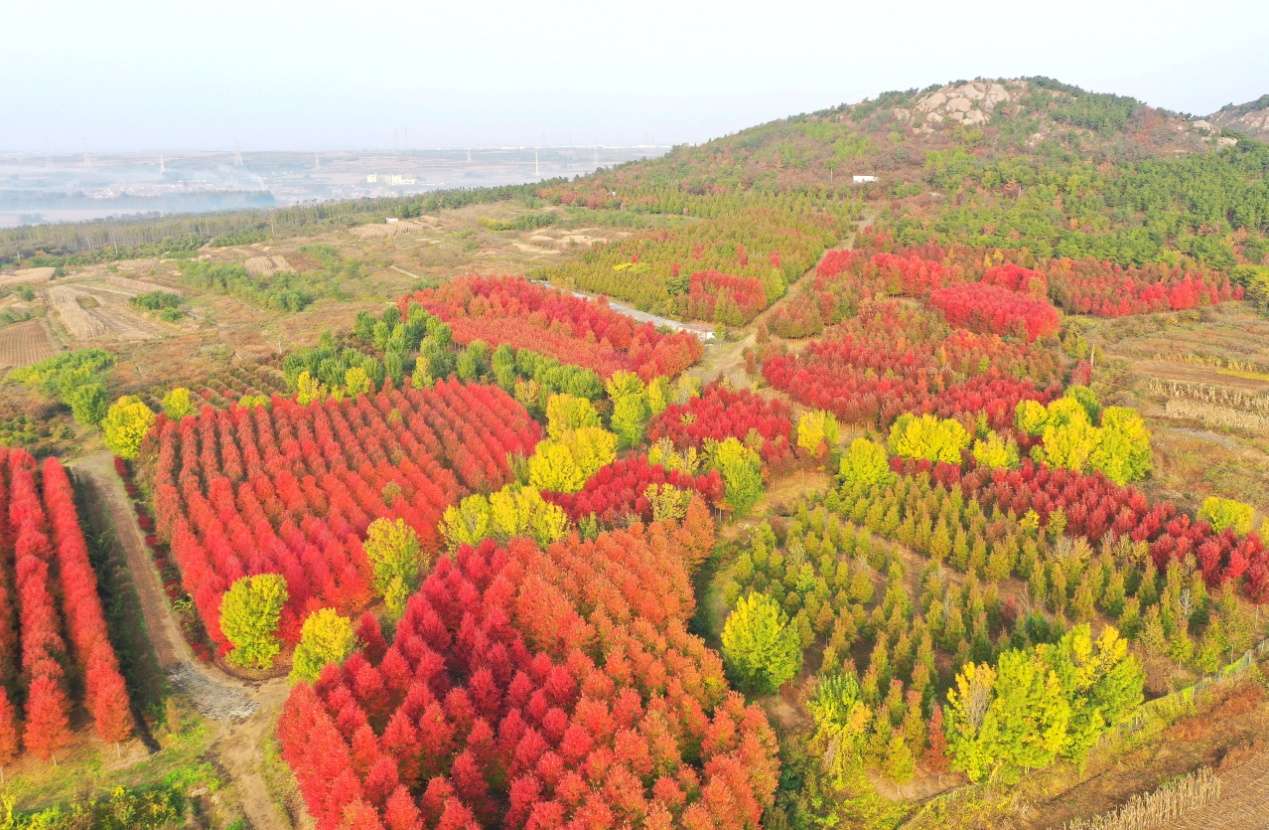 D:\Desktop\新建文件夹 (33)\新建文件夹 (2)\DJI_0648.JPG