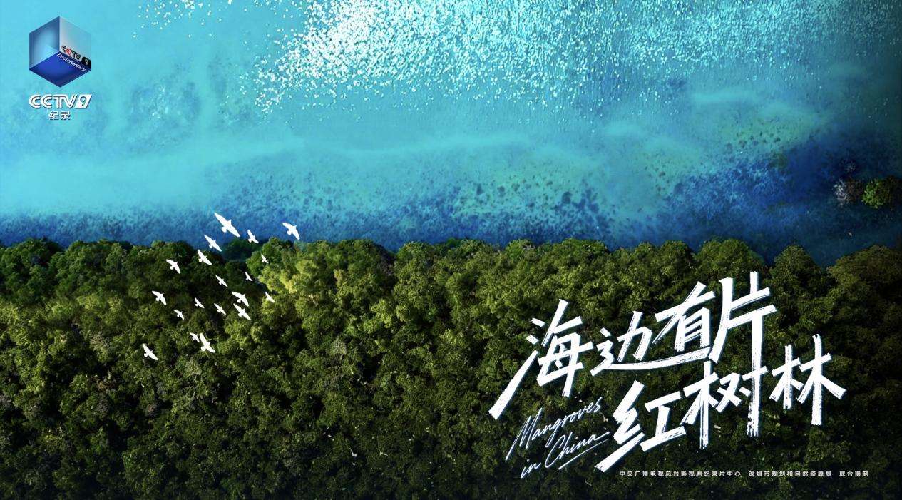 41c41fcd416a2d68654acf5ca18ef86f