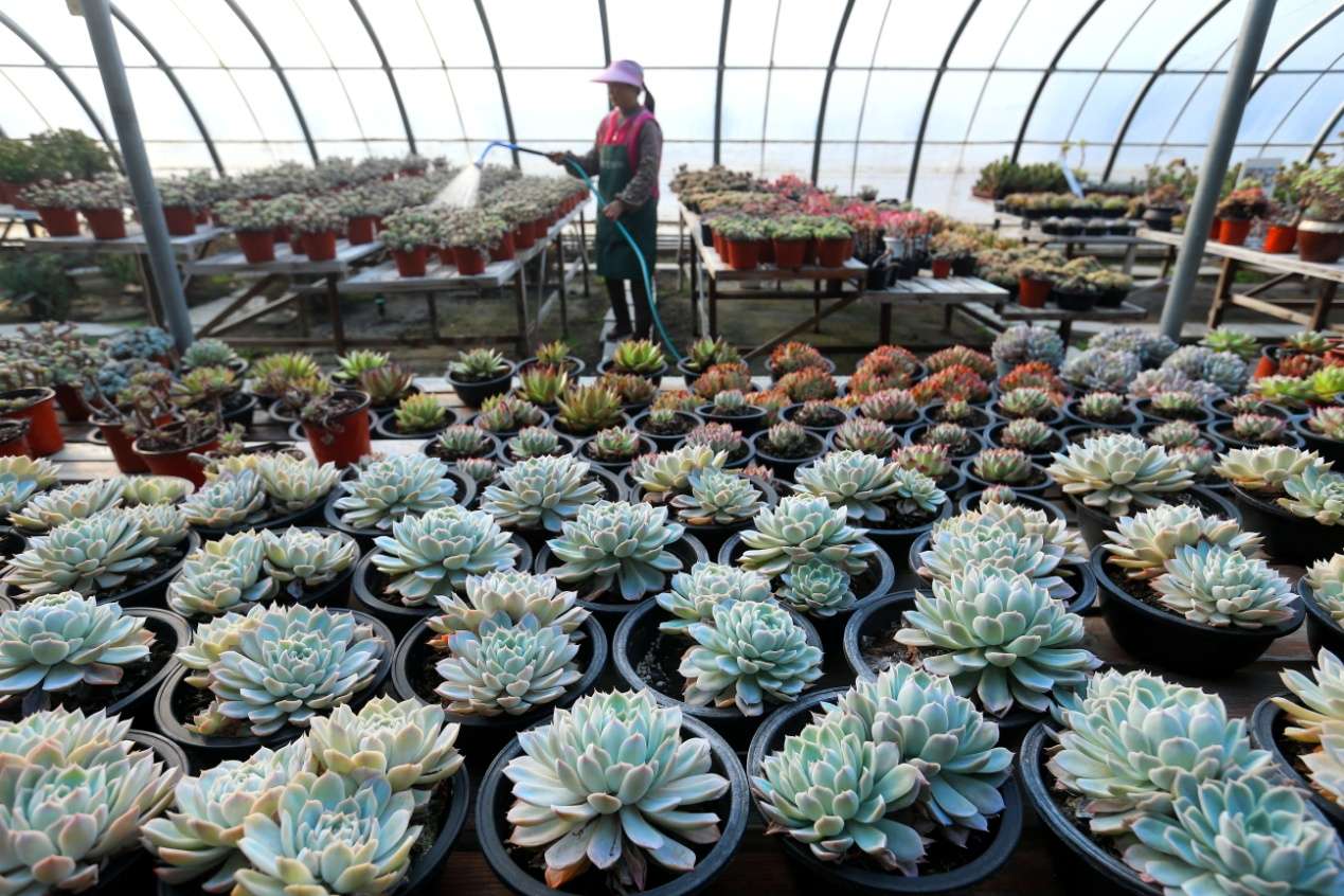 D:Desktop新建文件夹 (8)B67W6096.JPG