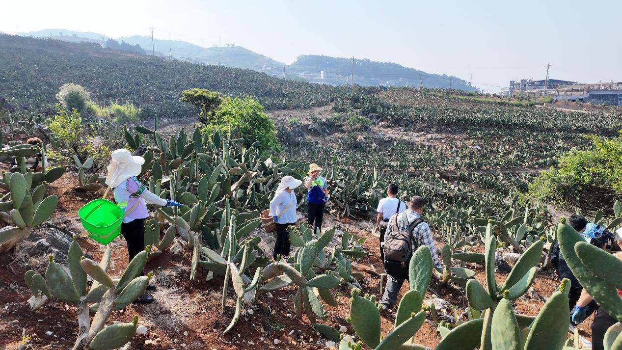 DJI_20260331092630_0102_D