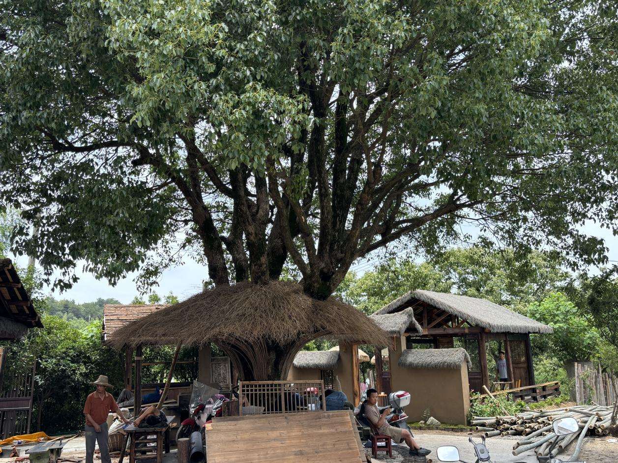 /Users/yuaihua/Library/Containers/com.kingsoft.wpsoffice.mac/Data/tmp/picturecompress_20250619005641/output_1.jpgoutput_1